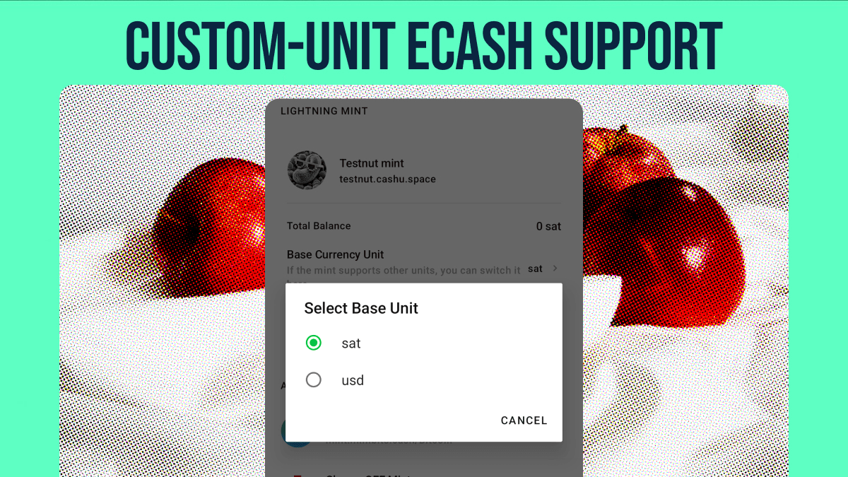 Numo mint settings with a dialog for selecting sat or usd as the base unit